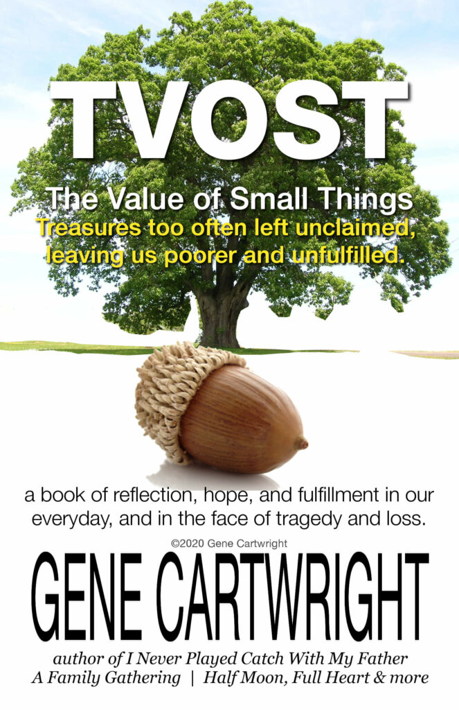 TVOST. The Value of Small Things