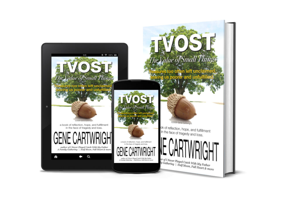 TVOST. The Value of Small Things